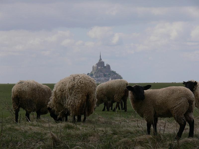 Mont Saint Michel 2010 - 408.jpg